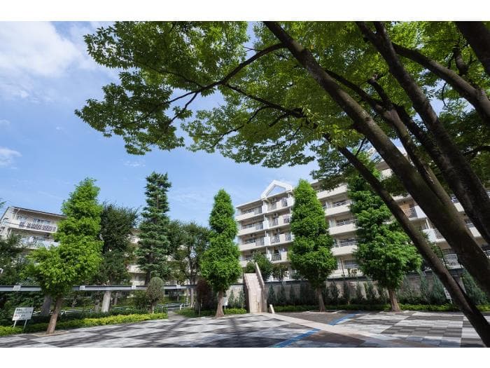 新蓮根