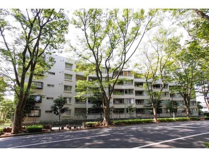 常盤平けやき通り住宅の外観写真