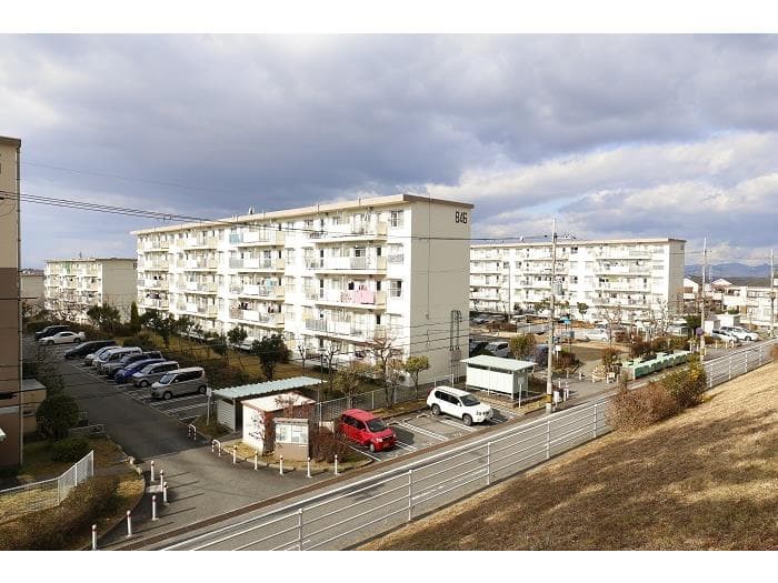 有野