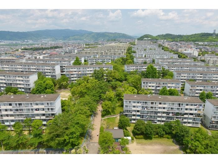 男山の外観写真